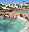 Hilton Sharm Dreams Resort - Sharm El Sheikh Egypt