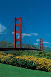 Americas Best Value Inn & Suites - San Francisco / Golden Gate CA