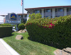 Best Western De Anza Inn - Monterey California