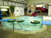 Best Western Seven Seas Hotel & Waterpark - Mandan (Bismarck Area) North Dakota