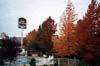 Best Western Garden Villa Inn - Roseburg Oregon