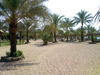 Hilton Sharm Dreams Resort - Sharm El Sheikh Egypt