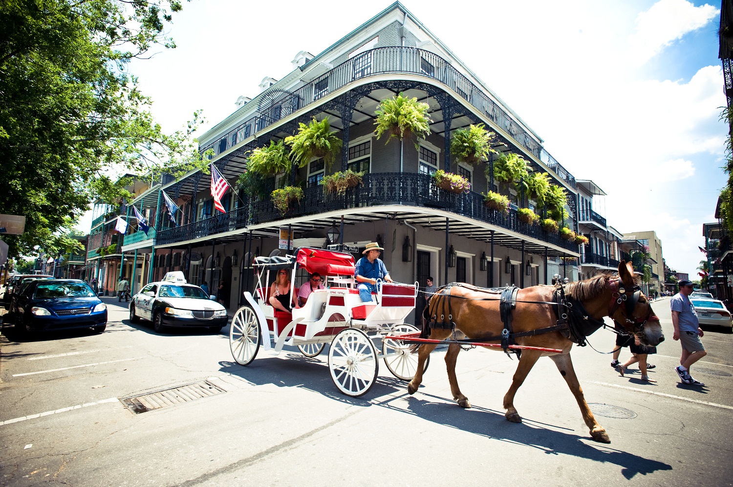 Hotel Royal - New Orleans LA