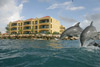 The Royal Sea Aquarium - Curacao